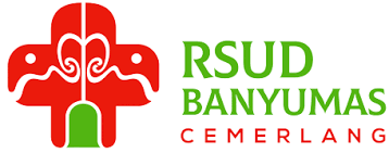 Rsud Bms